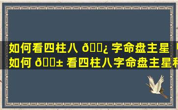 如何看四柱八 🌿 字命盘主星「如何 🐱 看四柱八字命盘主星和副星」